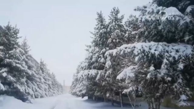 河北:多地出现降雪天气,高速交通受影响