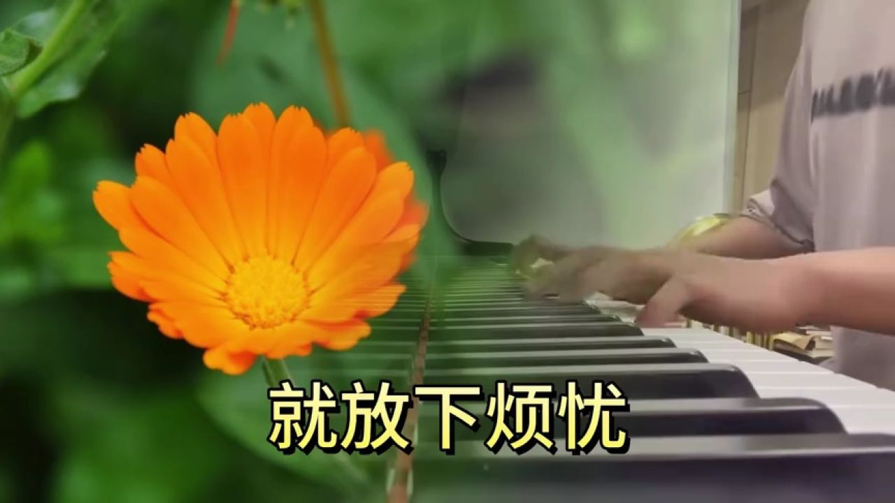 壁纸 花 桌面 1280_720