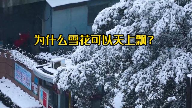 为什么雪花可以天上飘?