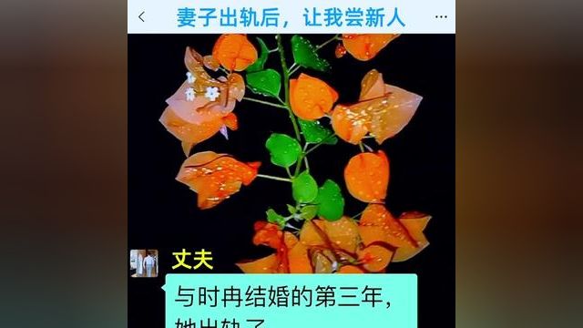 小说 #文学品读