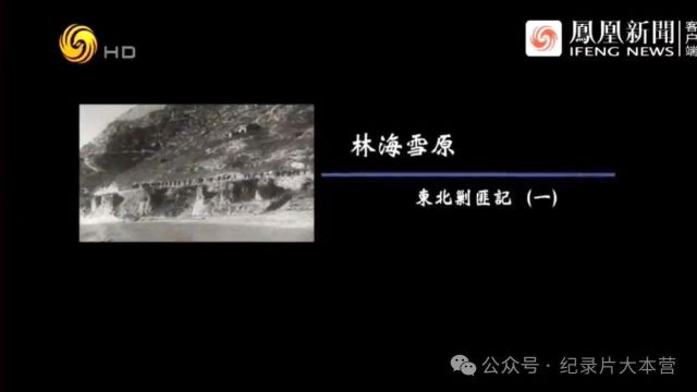 剿匪系列|纪录片《林海雪原东北剿匪记》10集(全)