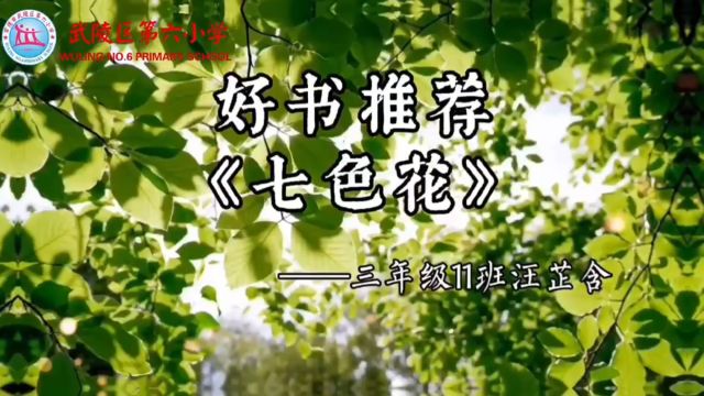 汪芷含