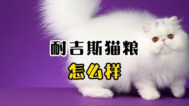 耐吉斯猫粮怎么样?