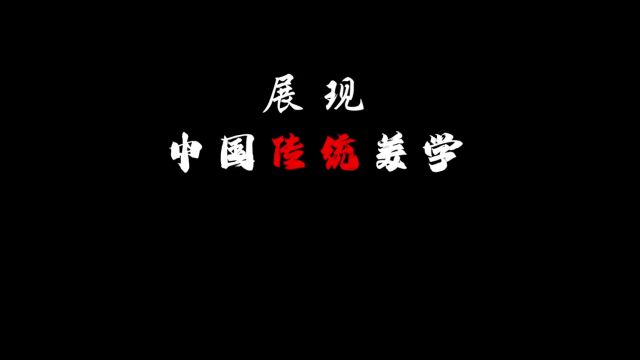 “盘点纪录片里的那些唯美镜头,随便截一张都能当壁纸”#历史 #国风