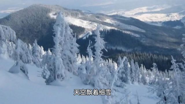 经齿冷于雪,劝人投此珠.愿随金騕褭,走置锦屠苏.