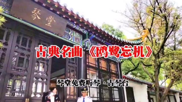 琴堂免费听琴 古琴台聆听古典名曲《鸥鹭忘机》优美流畅古韵悠长