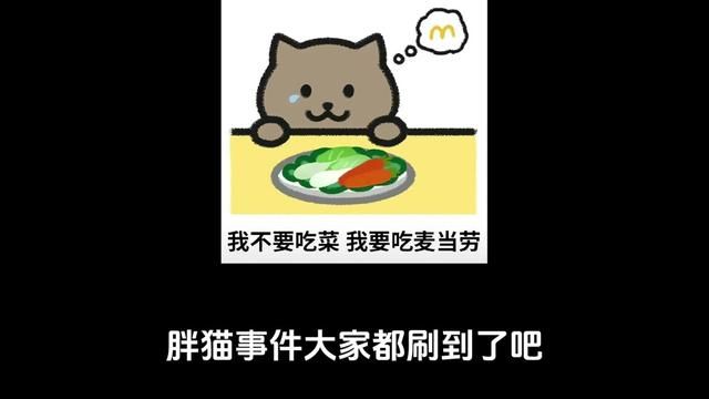 胖猫事件的想法以及对某些网传截图的澄清 #胖猫 #男女对立