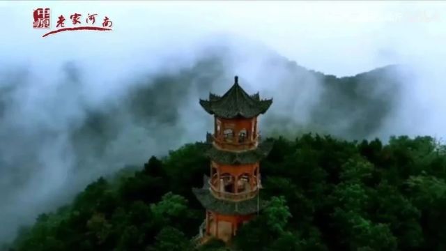 美丽中国|中华名山系列《河南燕子山》豫西林海(4A)