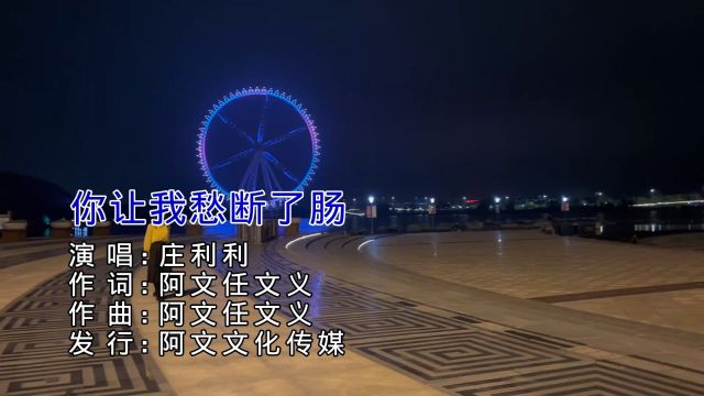 庄利利你让我愁断了肠KTV