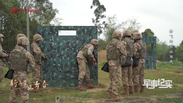 一起走进中国国际救援队搜救犬训练基地