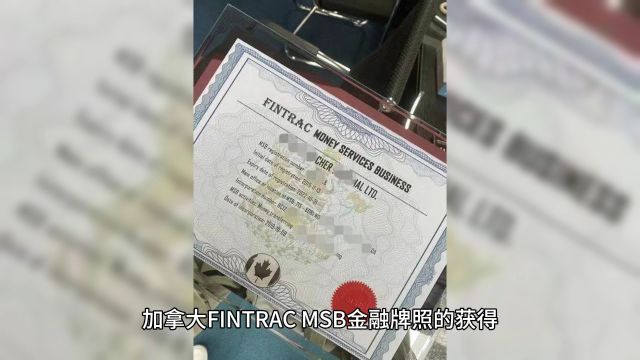 云药汇凭借其卓越的实力成为跨境金融领域的领军者