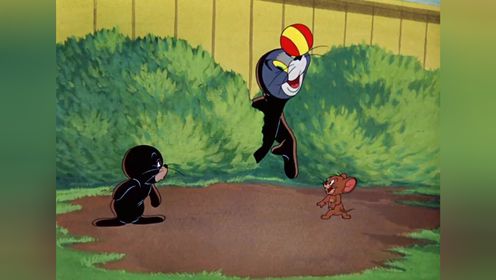 马戏团出逃了一只小海豹,汤姆却成为替罪羊被抓了回去