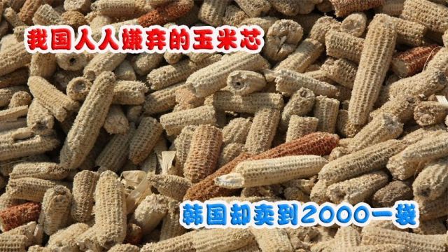 人人嫌弃的玉米芯,韩国却卖到2000一袋,他们是怎么吃玉米芯的?