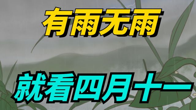 明日四月十一,“有雨无雨,就看四月十一”,是什么意思?