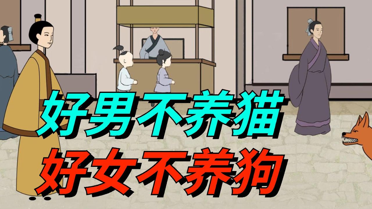 "好男不养猫,好女不养狗",这话何意?背后的原因很有意思