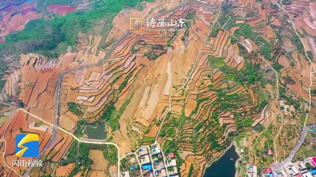 诗画山东|邹城夏日梯田美景上线 层叠蜿蜒似天然画卷