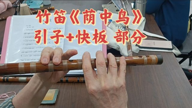 竹笛《荫中鸟》,引子+快板,长沙蔡老师的近距离指法,G调作5