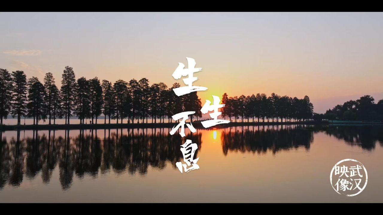 映像武汉︱生生不息