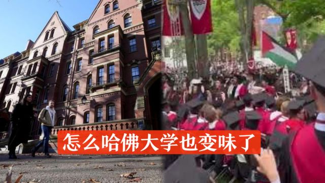 史无前例!哈佛大学剥夺13名毕业生学位文凭,学生在典礼上愤怒示威