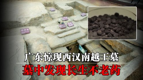 广东惊现西汉南越王墓，墓中发现长生不老药，专家惊呼：活了103岁