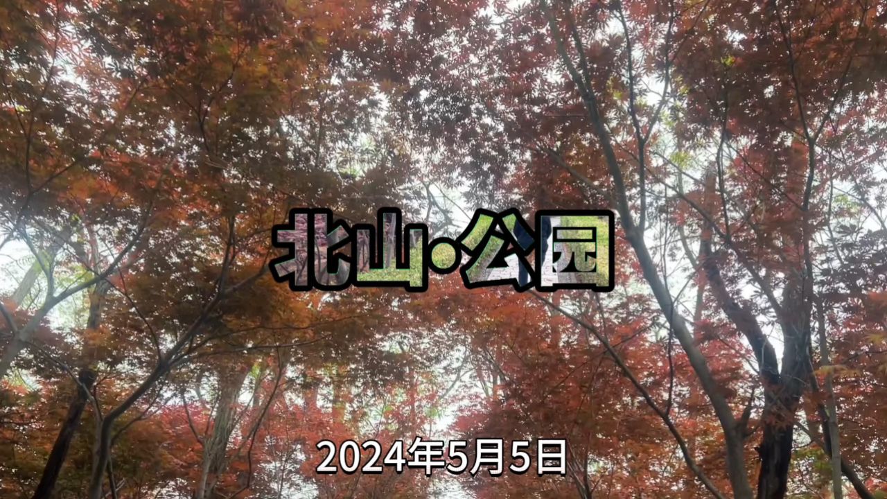 青岛辛家庄北山公园