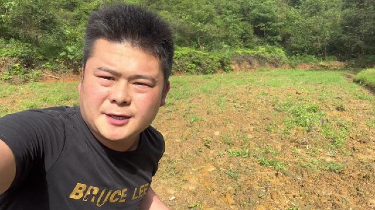 我种的八月瓜全部成活了,套哥来帮忙除草施肥,天气