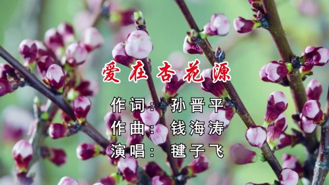 爱在杏花源 作词: 孙晋平 作曲: 钱海涛 演唱: 毽子飞