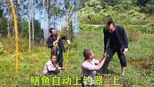黄鳝涨到65一斤了,沿着沼泽地水沟放200多根"黄鳝自动上钓器"