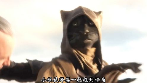 一部堪比魔戒的经典之作#山海经异兽录 #孵蛋养成计划