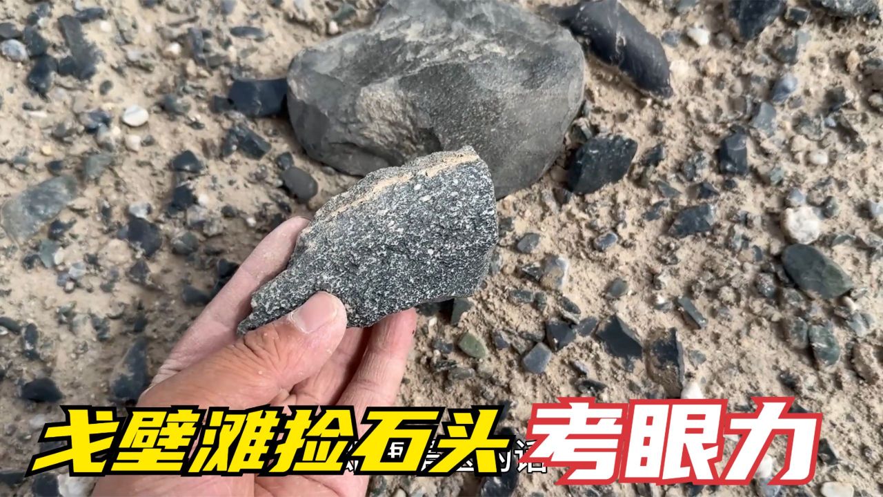 戈壁滩捡石头考验眼力,石头玉石难分辨,捡一天看看收获多少