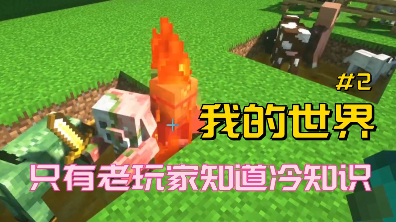 我的世界:只有老玩家才知道的冷知识,能懂3个你就算大神了