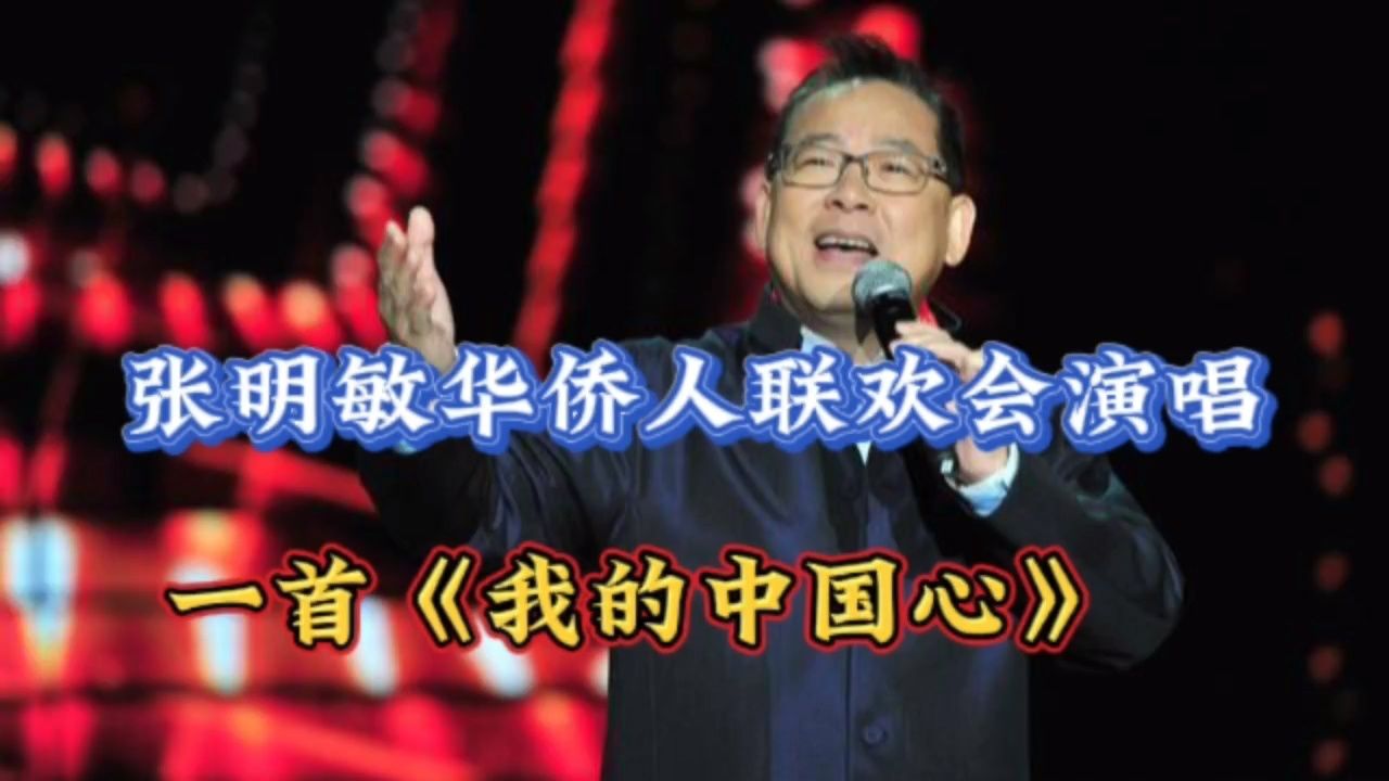 张明敏全球华人故乡情春节联欢晚会演唱《我的中国心》