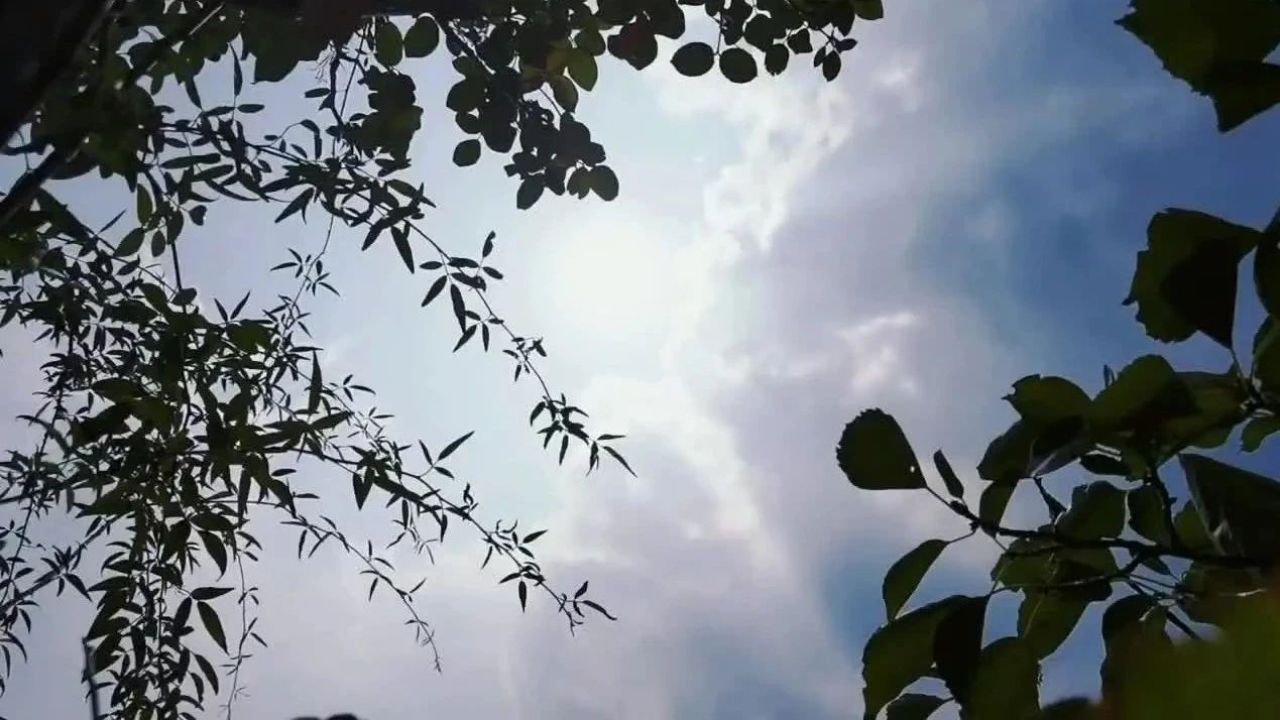 午后一阵太阳雨,杭城天空出现梦幻一幕!游客惊呼:太幸运了