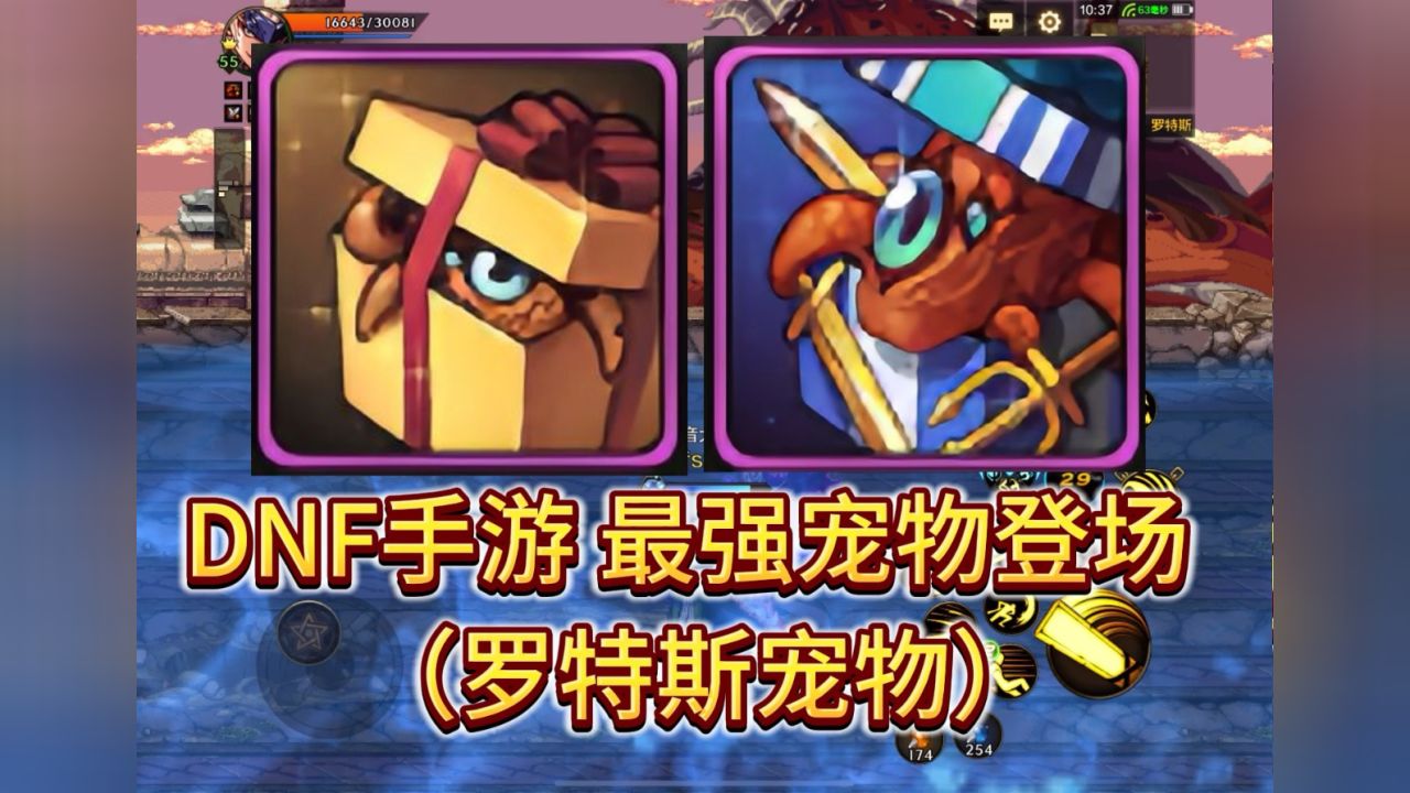 dnf手游罗特斯宠物,0氪党也能白嫖获得 #dnf手游