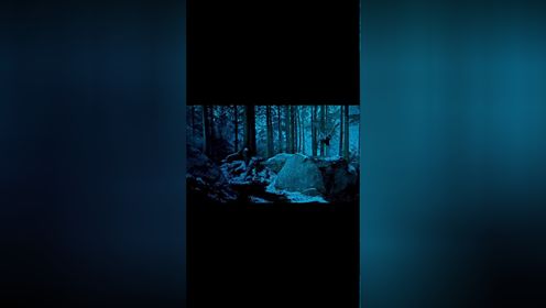 《黑夜传说4：觉醒》经典不败，吸血鬼系列中的最爱（第1集）