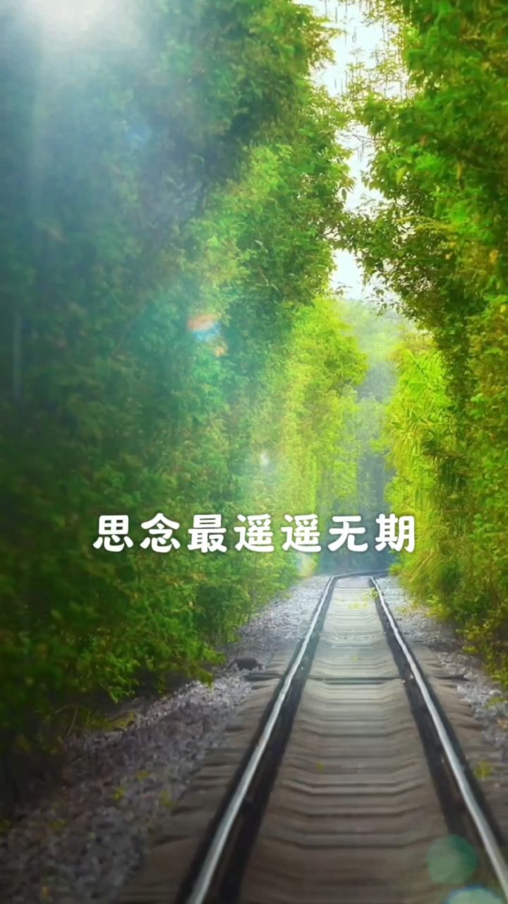 所有不合时宜的相遇,都是遗憾让人心疼