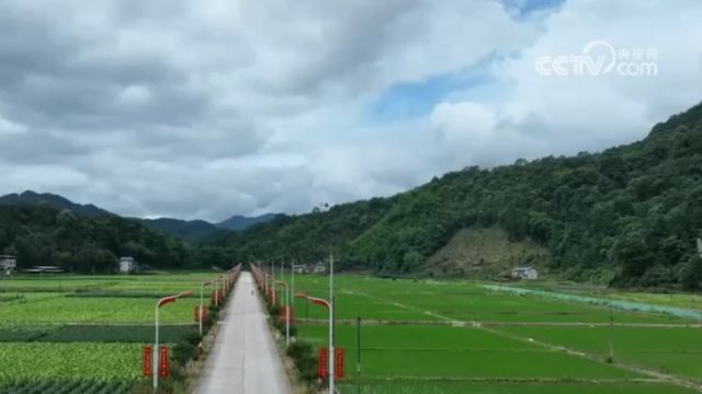 中国物流与采购联合会:去年我国商贸物流总额同比增长5%