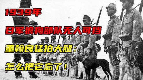 1939年，日军狼狗部队无人可挡，董翰良猛拍大腿：怎么把它忘了（1）