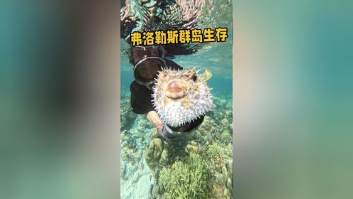 弗洛勒斯群岛生存第三集，制作蒸馏海水装置后开始潜水钓鱼，本以为能轻松收获很多大鱼，现实中却恰恰相反！