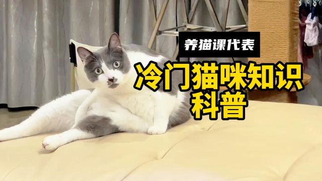 冷门猫咪知识科普,你知道多少?