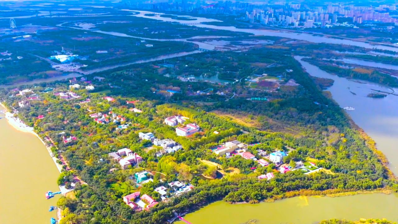 哈尔滨太阳岛湿地:感受夏日清凉和惬意