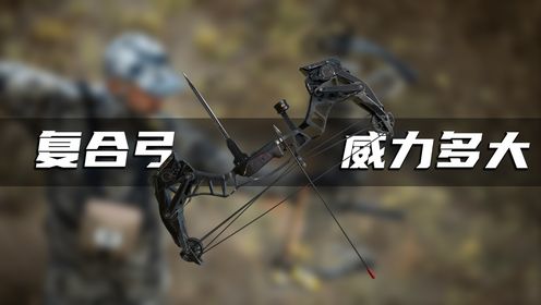复合弓的威力究竟有多大?_高清1080P在线观看平台_腾讯视频
