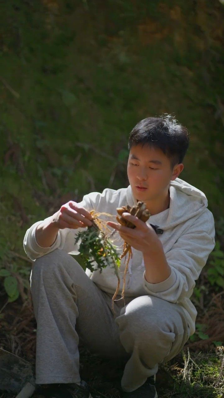 大蓟根炖鸡汤图片