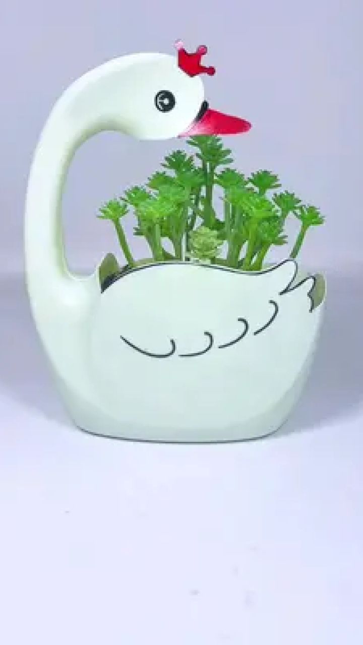 洗衣液瓶做花盆 #洗衣液瓶子改造 #变废为宝 #自制花盆 #手工 #空瓶子