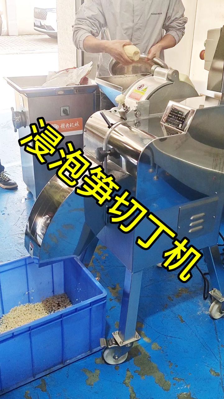 浸泡过的笋自动切丁机器