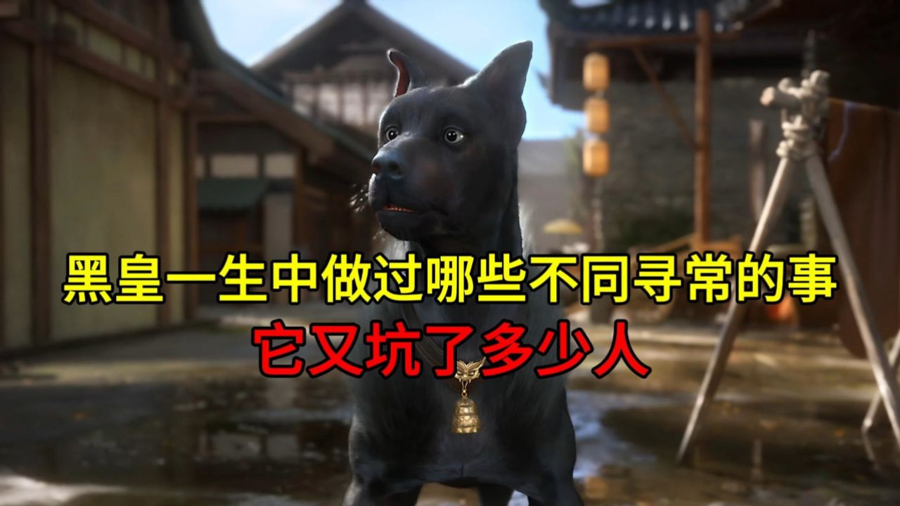 黑皇一生中做过哪些不同寻常的事?它又坑了多少人?_高清1080P在线观看平台_腾讯视频