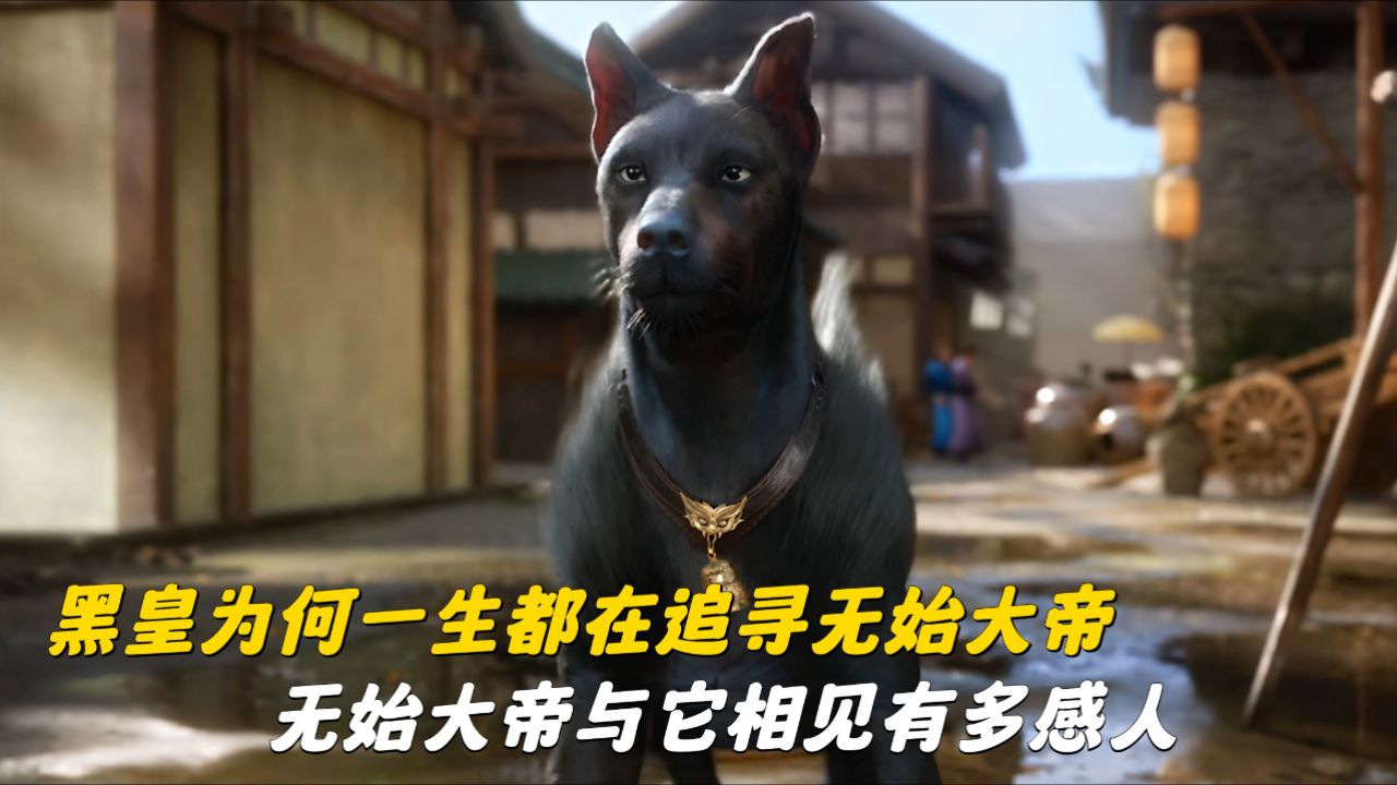 遮天【197】:黑皇为何一生都在追寻无始大帝,无始大帝与它相见有多感人_高清1080P在线观看平台_腾讯视频