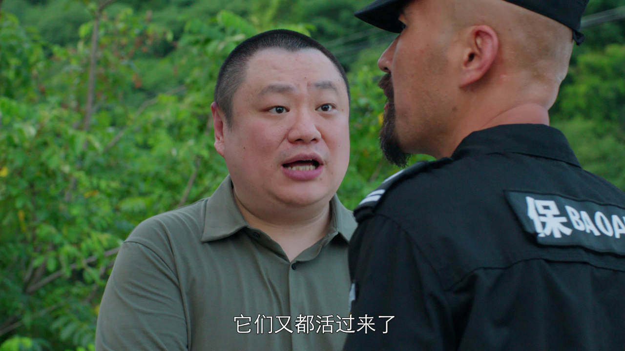 虎鹤双行 17集