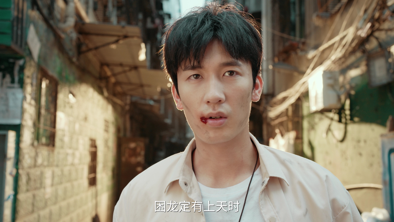 我能预见成功率 1集