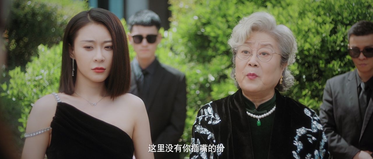 乘龙赘婿 21集